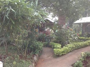 Ej Pension House PALAWAN Bagian luar foto